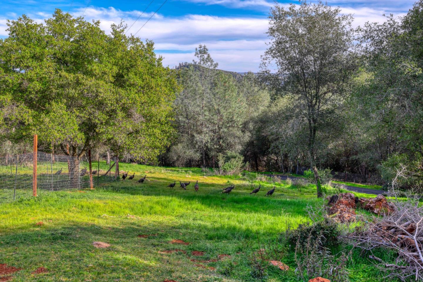 5251 Coyote Pass Road Shingle Springs, CA 95682 - Photo 32 of 40 Gallery Image 32