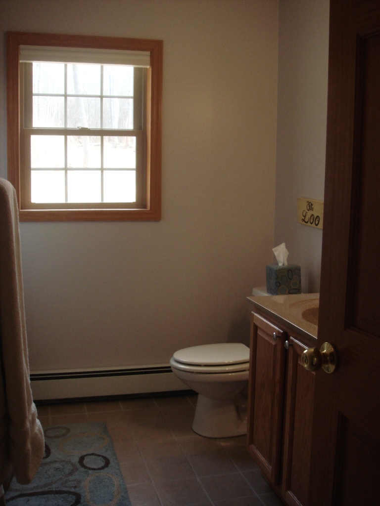 21 Stormview Road Lanesborough, MA 01237 - Photo 12 of 16 Bath