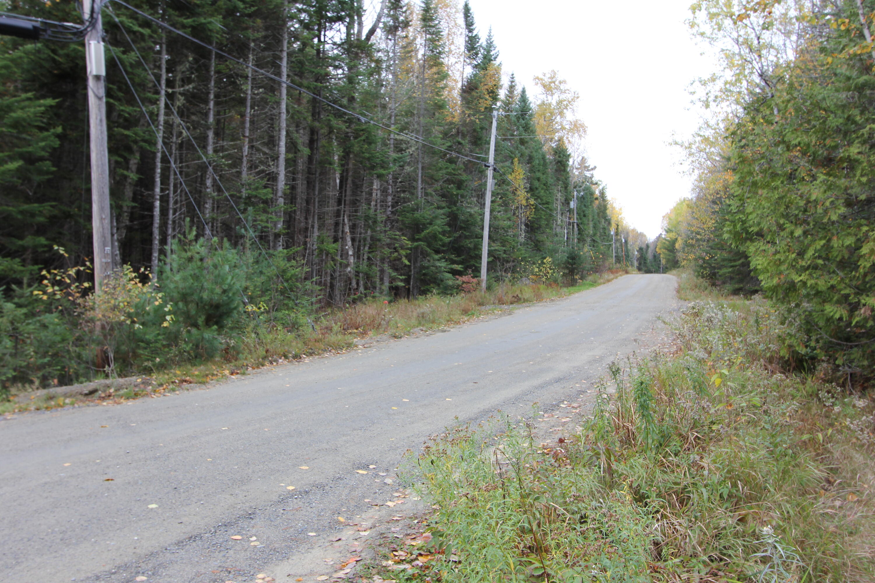 331 Birches Beach Road Oquossoc, ME 04964 - Photo 62 of 94 IMG_7843