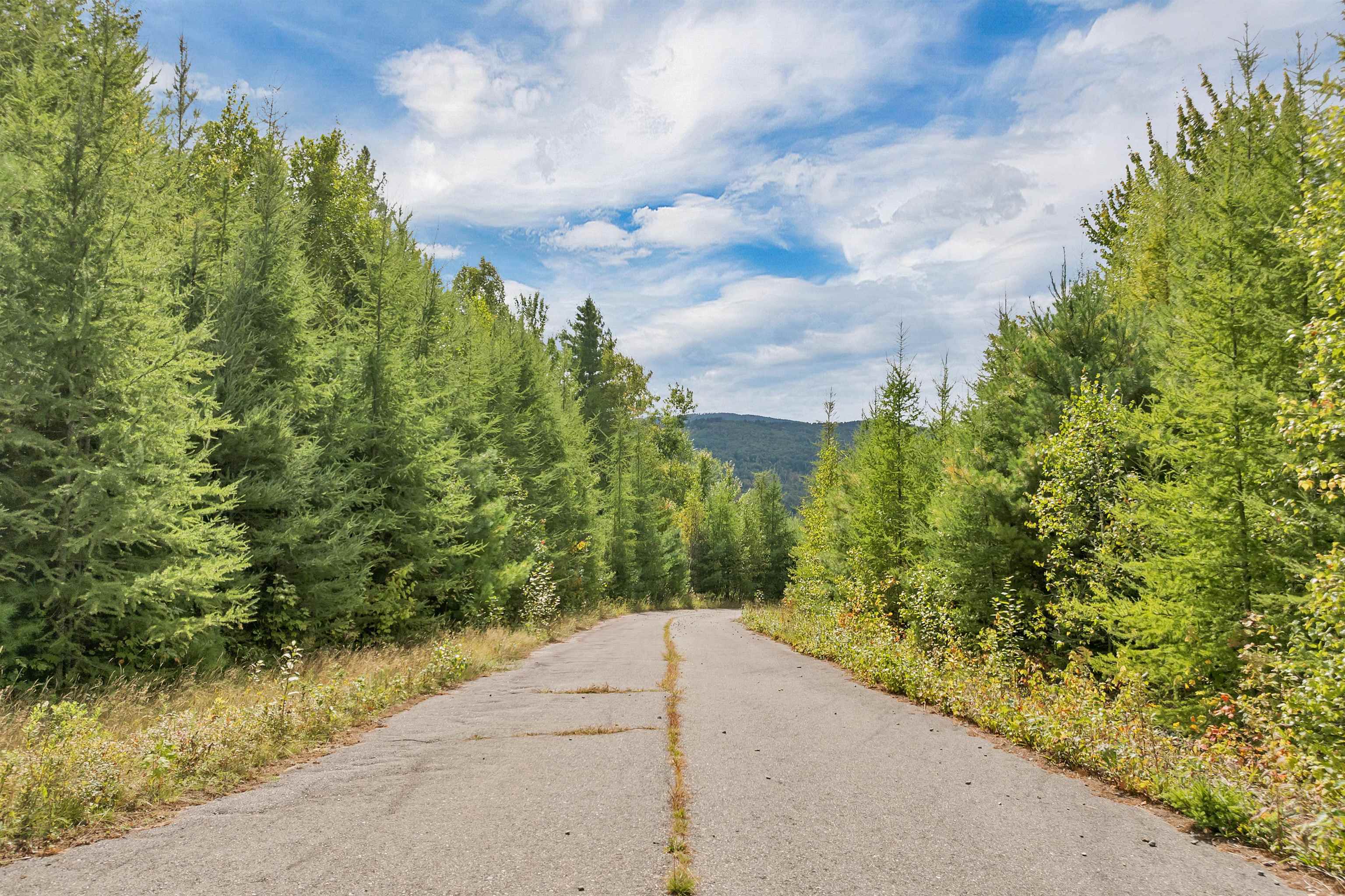 Lot 3 Morel Road Lancaster, NH 03584 - Photo 41 of 51