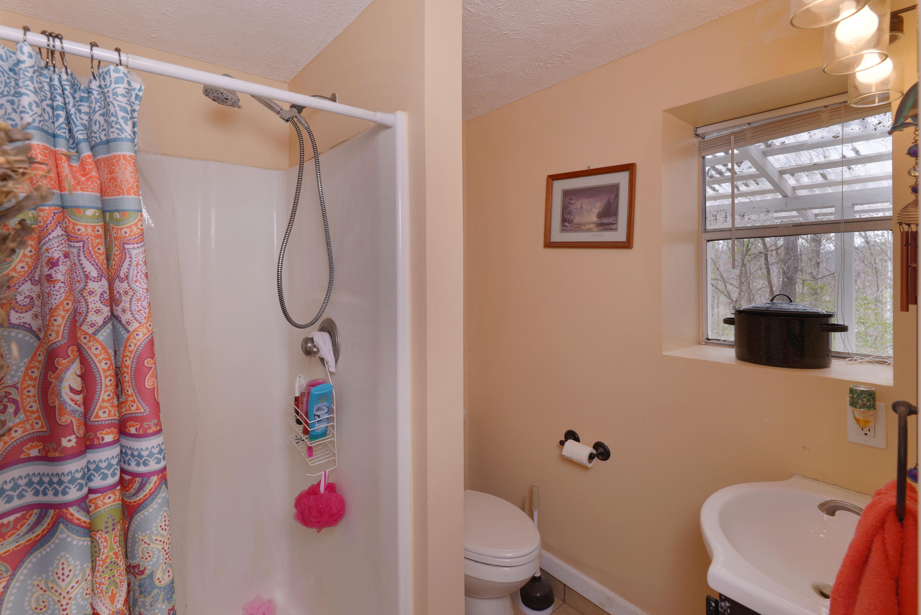 1939 Pine Ridge Road Seymour, TN 37865 - Photo 21 of 29 Downstairs bath