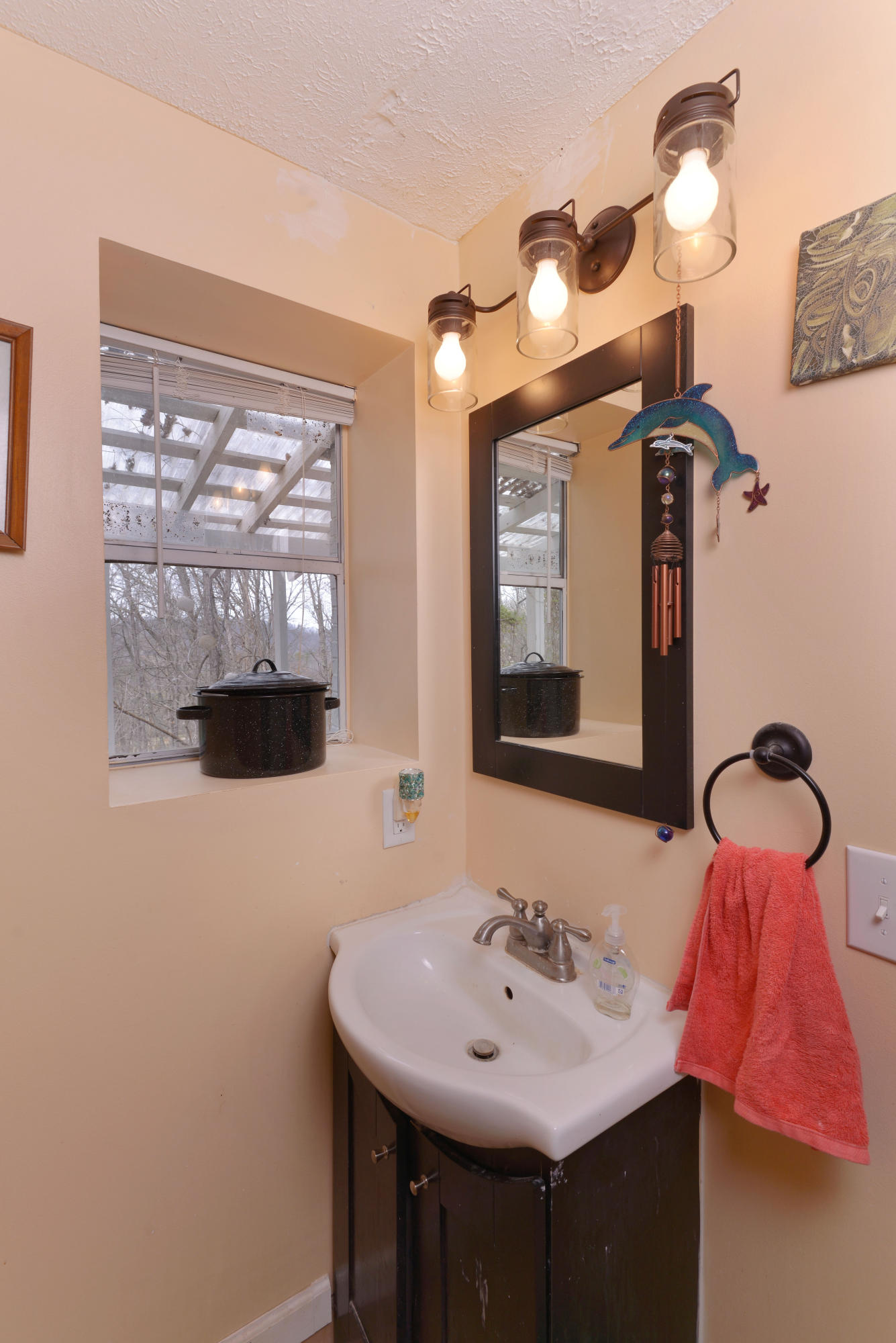 1939 Pine Ridge Road Seymour, TN 37865 - Photo 22 of 29 Bath vanity