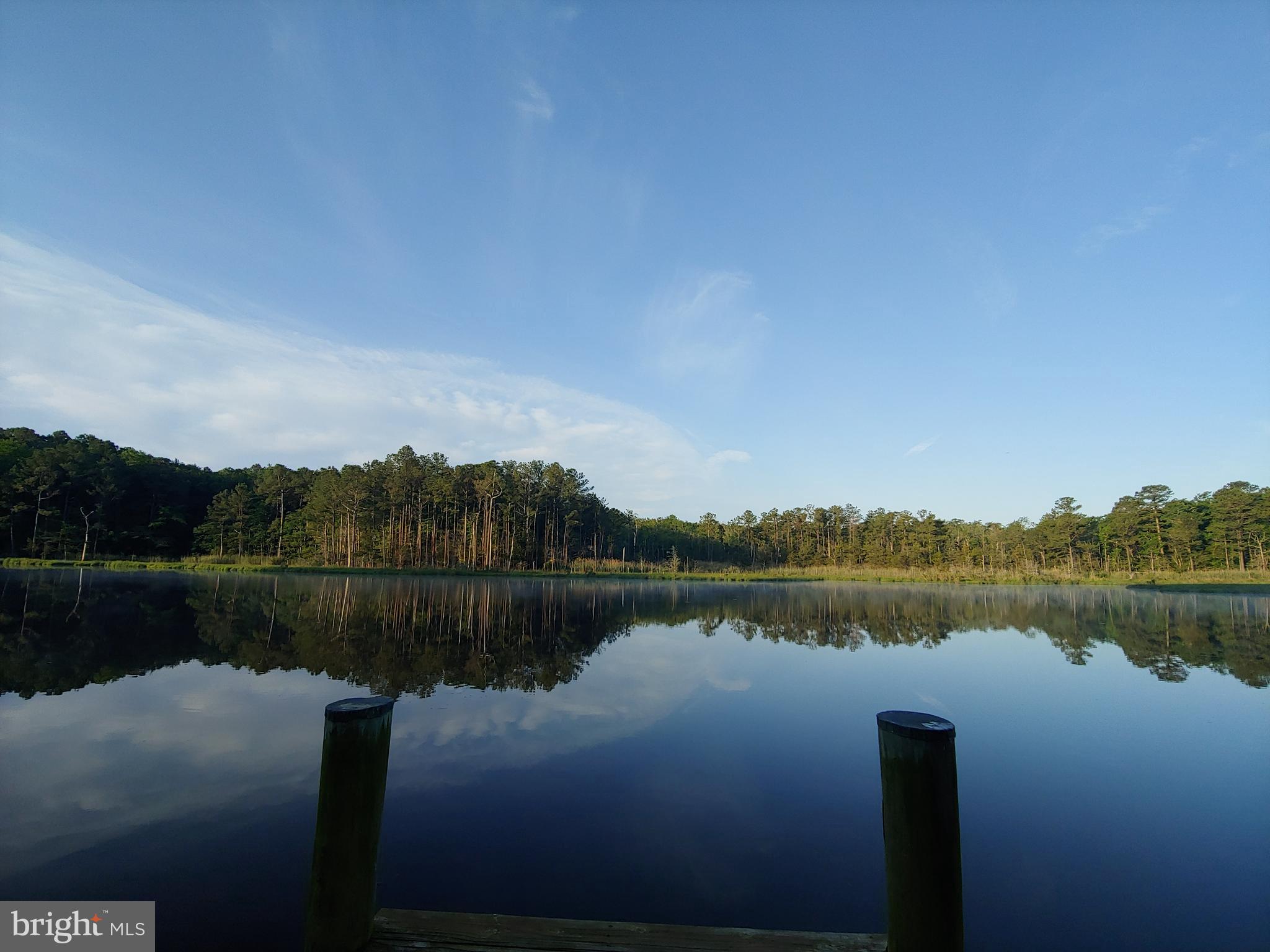 9508 Croppers Island Road Newark, MD 21841 - Photo 45 of 50 Exquisite Tranquility in Daytime ...