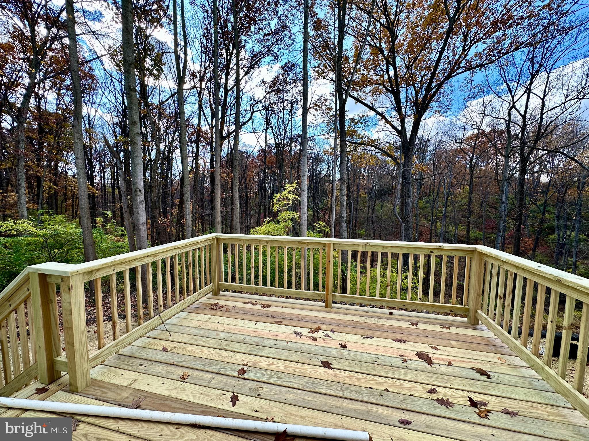 1024 Trinity Road York, PA 17408 - Photo 17 of 17 a view of deck with a trees