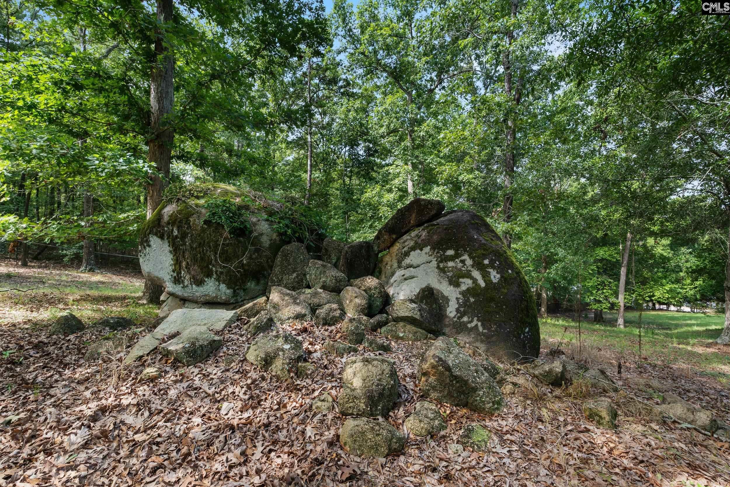2318 Beaver Creek Road Camden, SC 29020 - Photo 74 of 96 Gallery Image 74