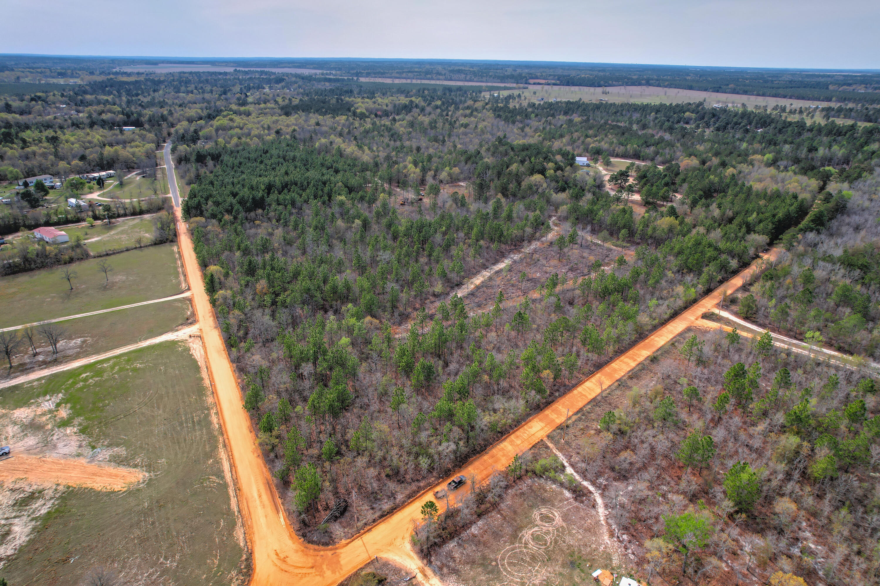 11-acres North 11-acres N Windsor Road Windsor, SC 29856 - Photo 9 of 16