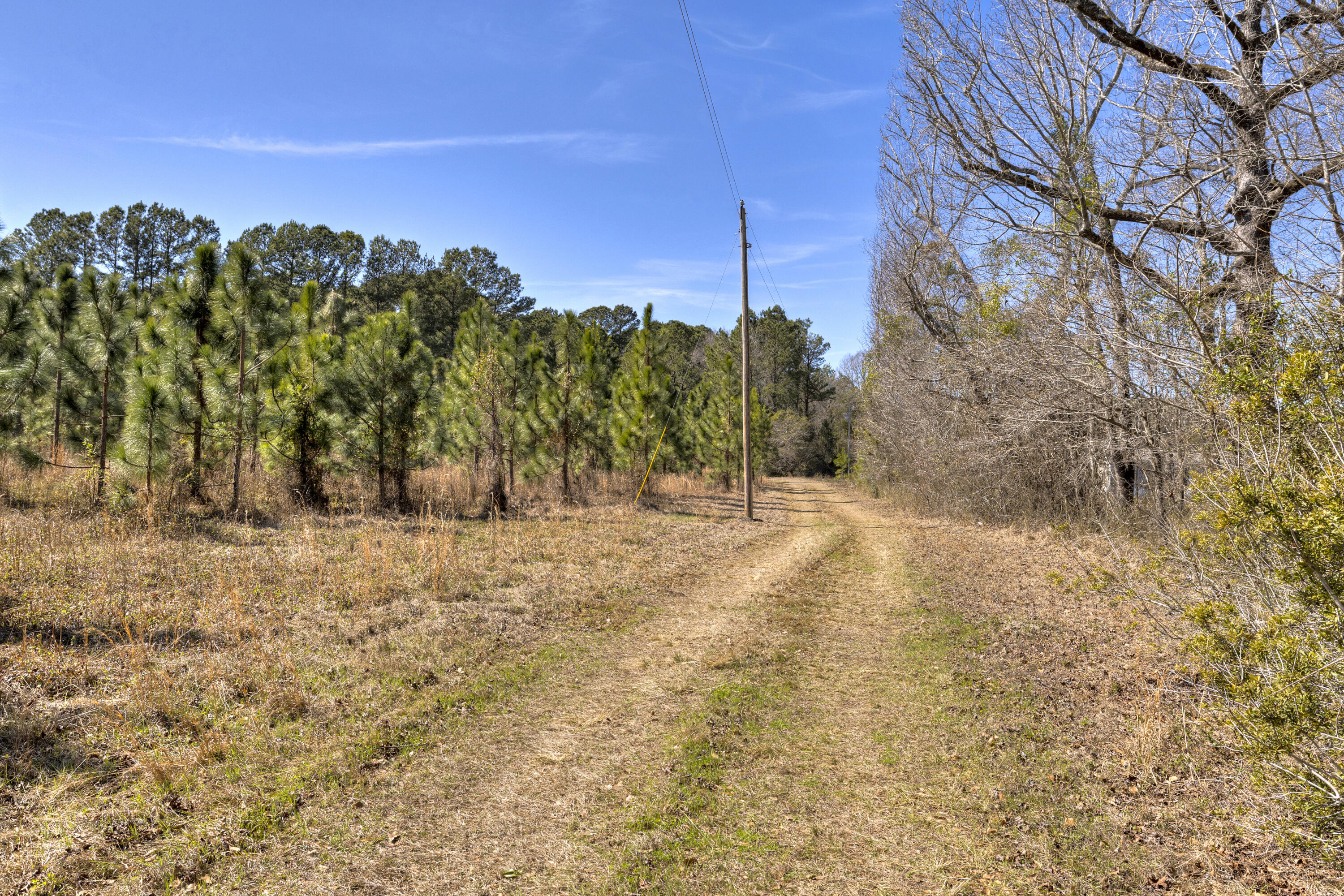 1625 Jerro Road Manning, SC 29102 - Photo 11 of 44 03