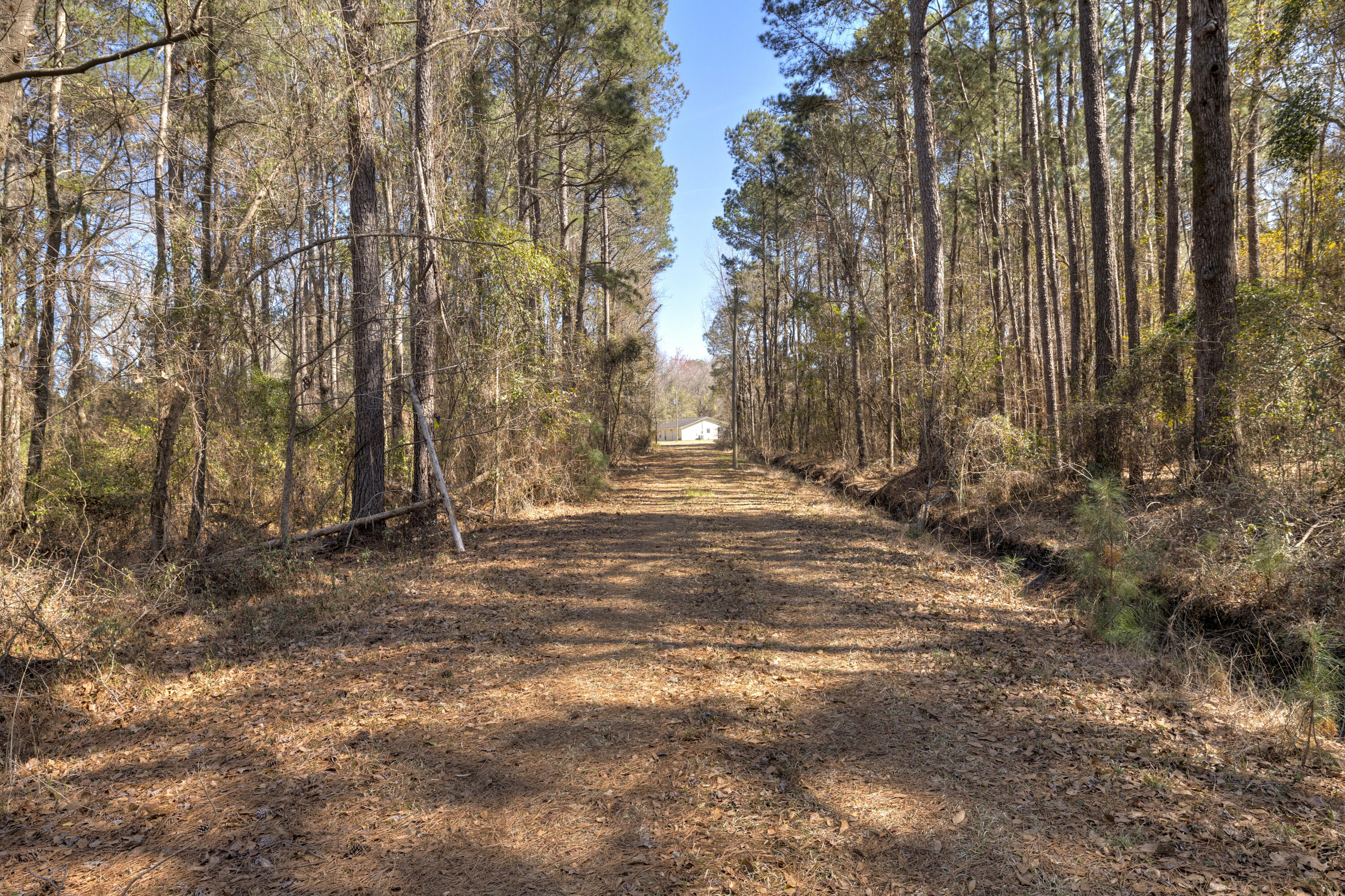 1625 Jerro Road Manning, SC 29102 - Photo 14 of 44 06
