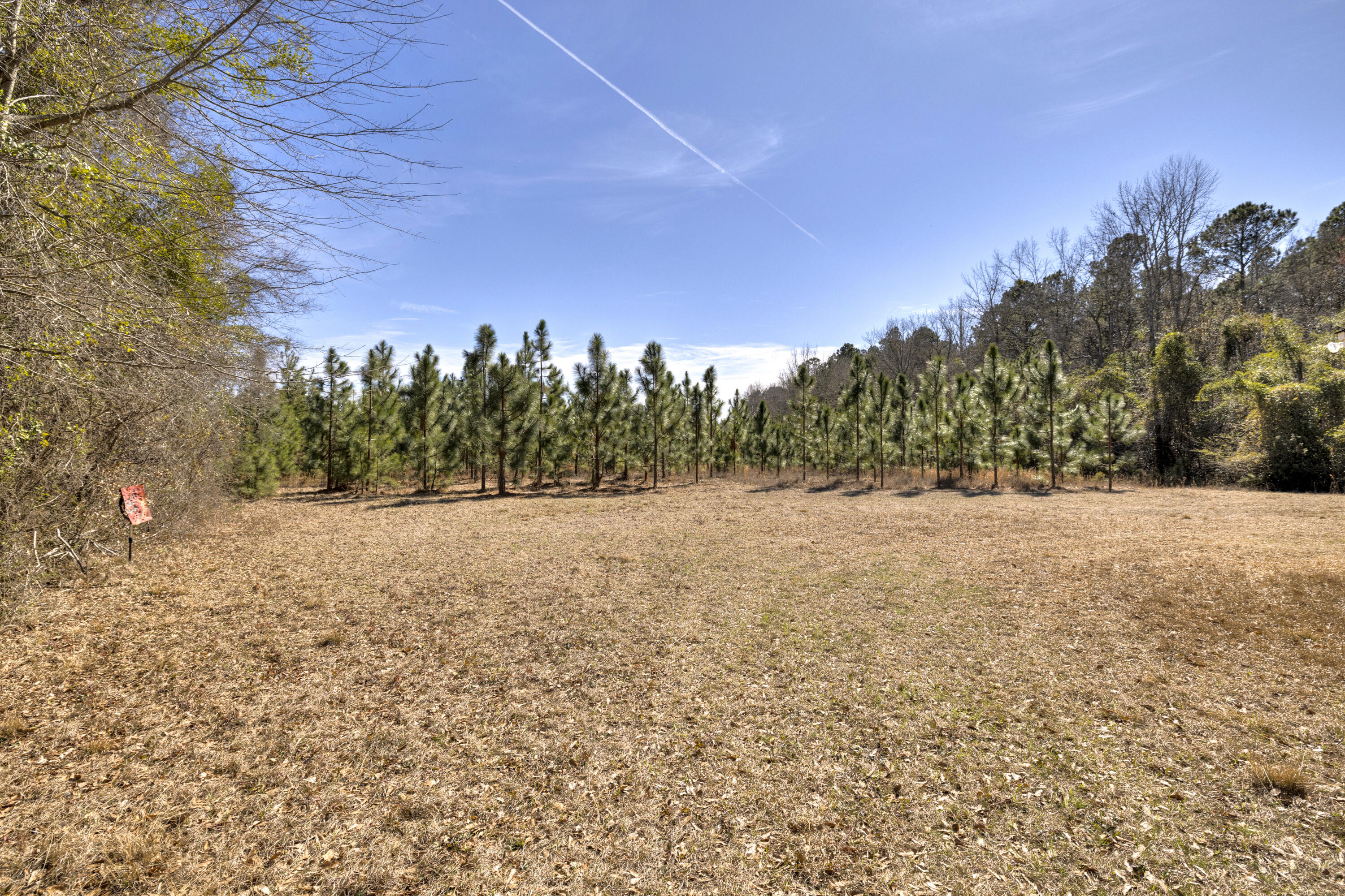 1625 Jerro Road Manning, SC 29102 - Photo 24 of 44 13