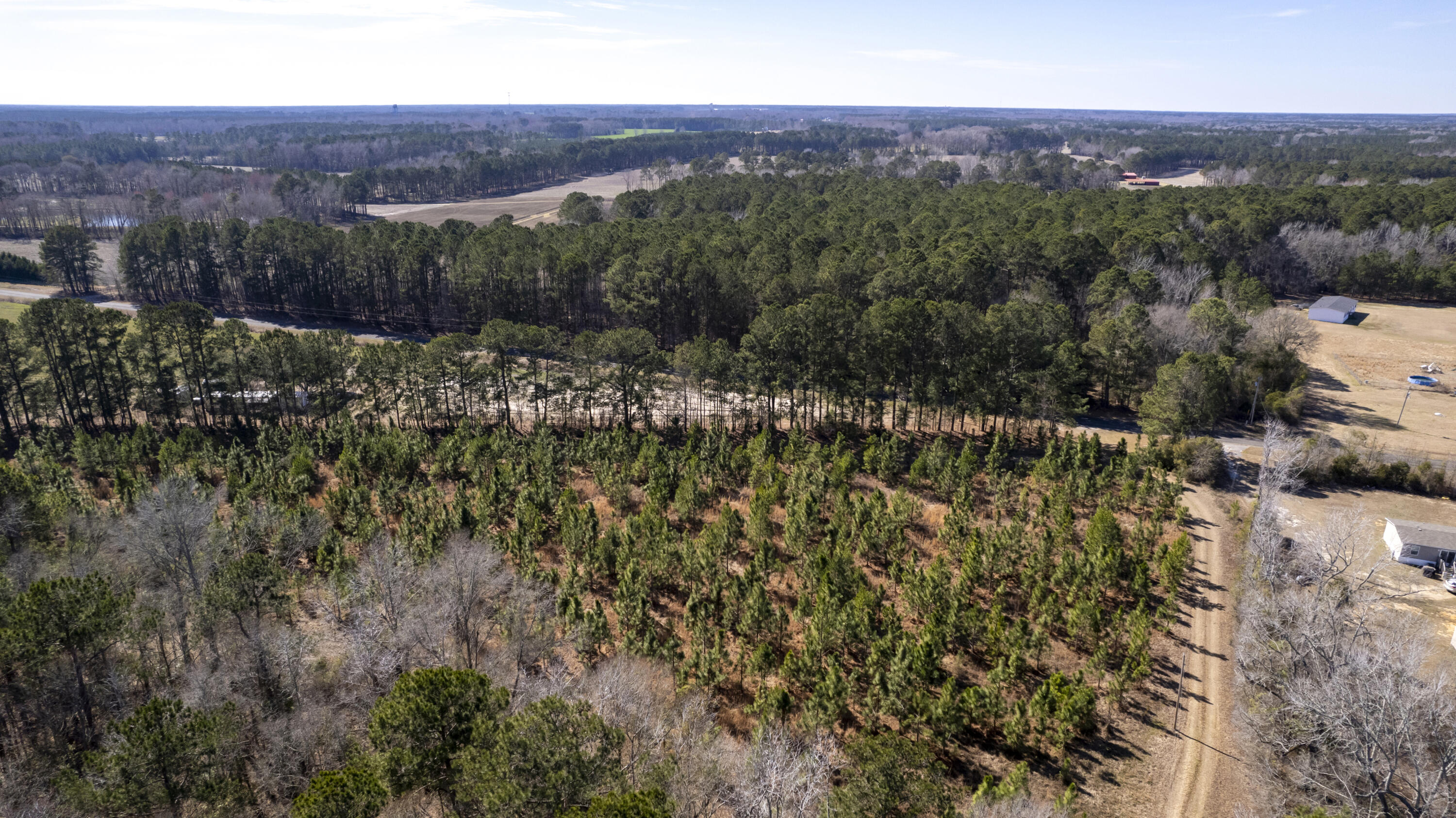 1625 Jerro Road Manning, SC 29102 - Photo 8 of 44 37