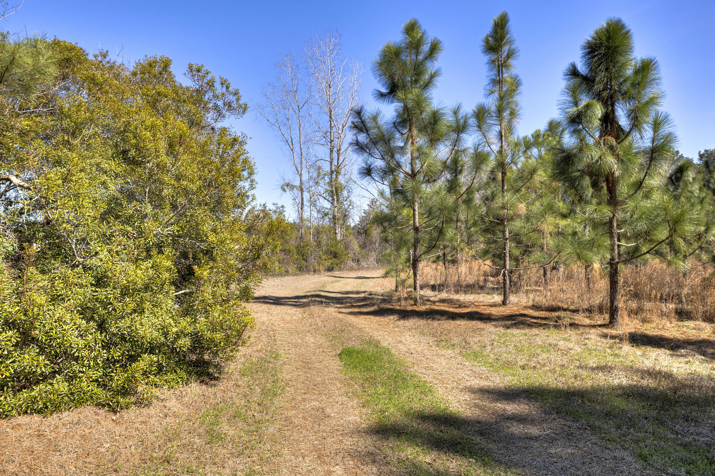 1625 Jerro Road Manning, SC 29102 - Photo 10 of 44 02