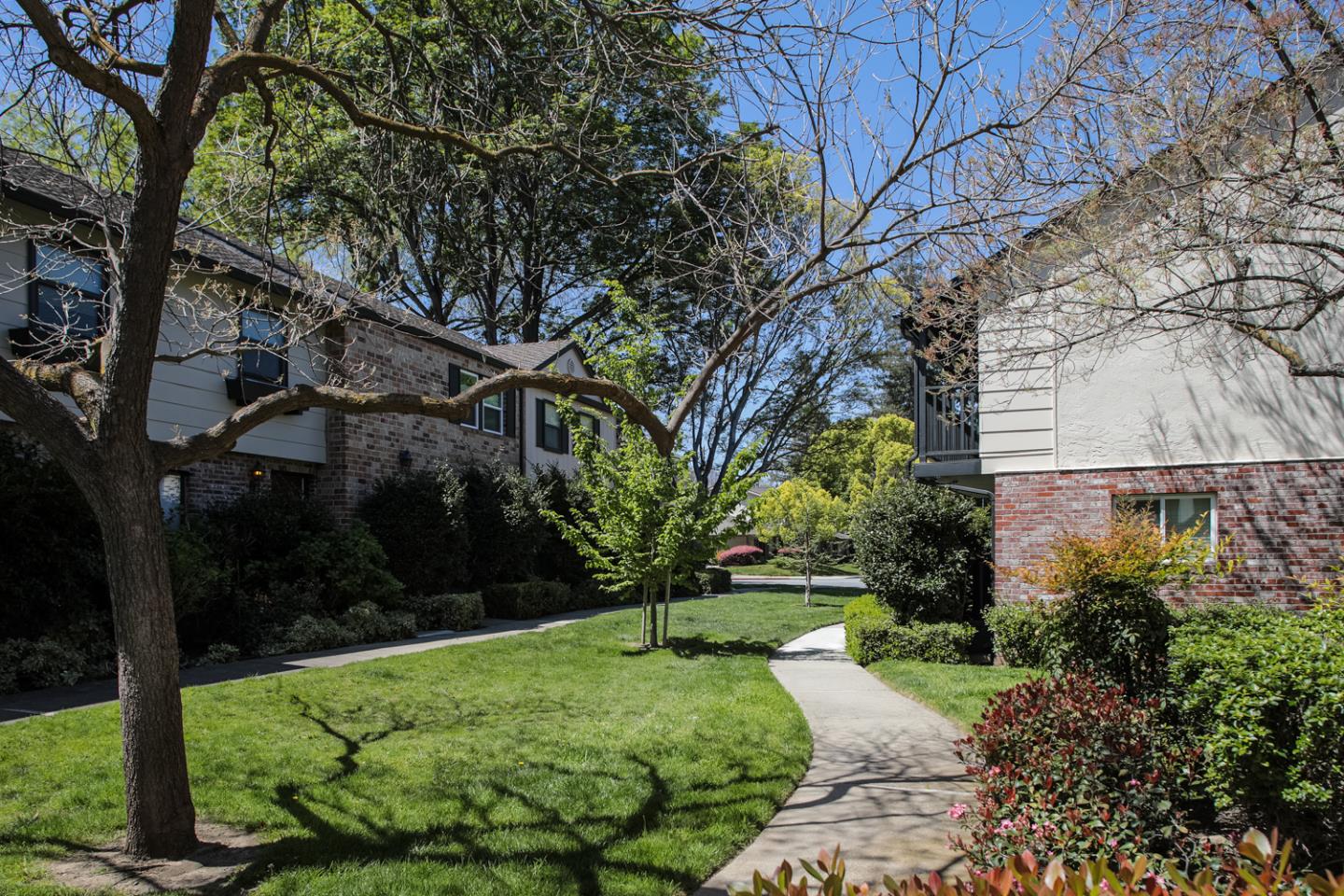 1394 North Loop Drive San Jose, CA 95126 - Photo 31 of 40 a backyard of a house with lots of green space