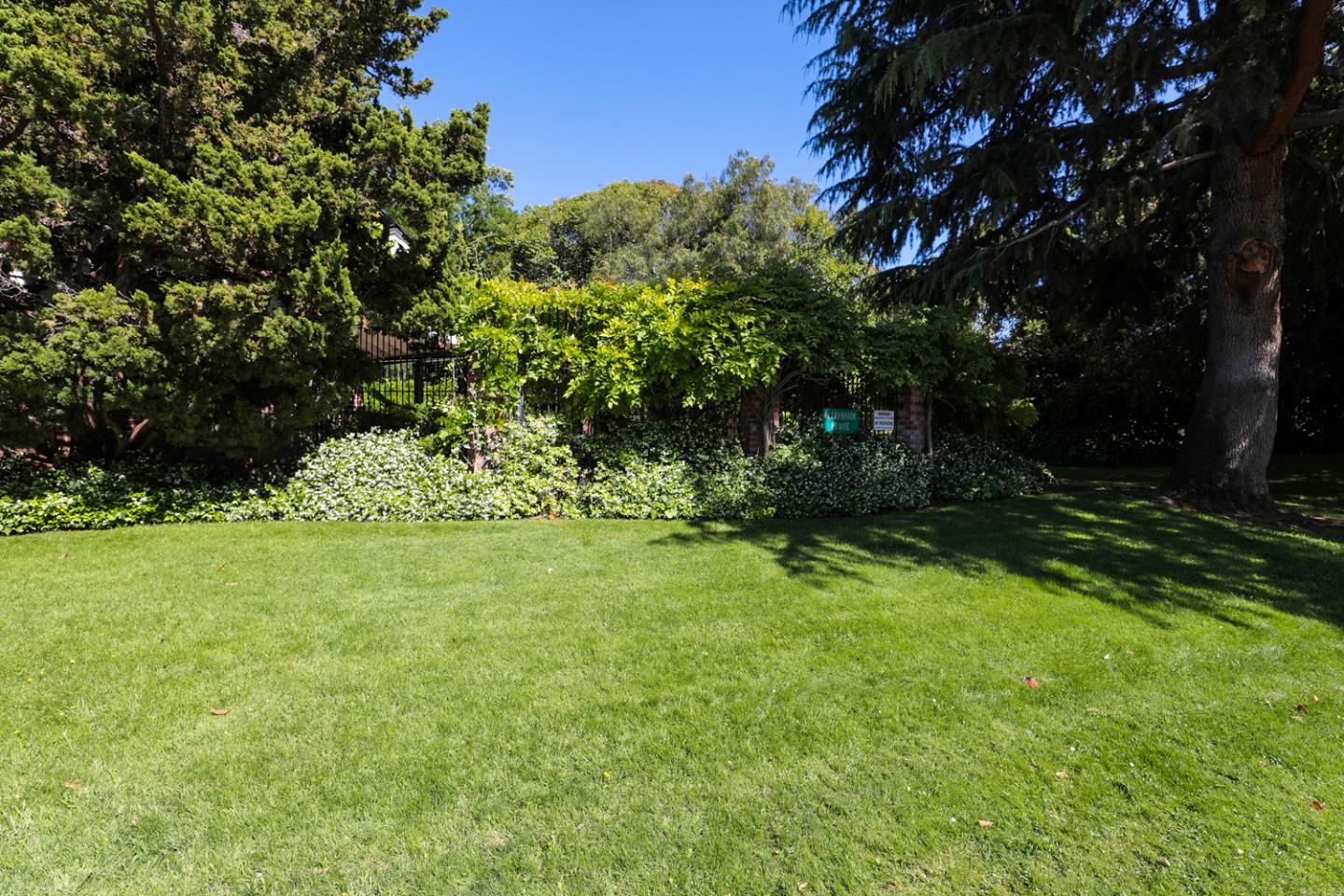 1394 North Loop Drive San Jose, CA 95126 - Photo 37 of 40 a view of backyard with green space