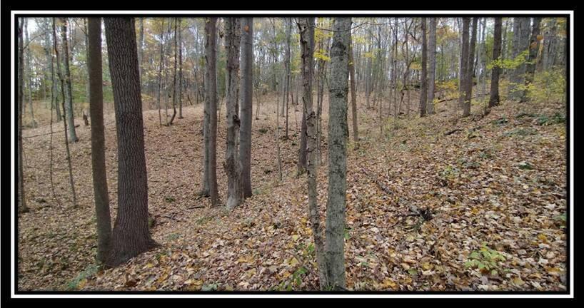 2169 Mohawk Coal Road Wellston, OH 45692 - Photo 46 of 58 image046