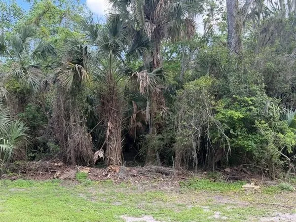 a view of outdoor space and trees