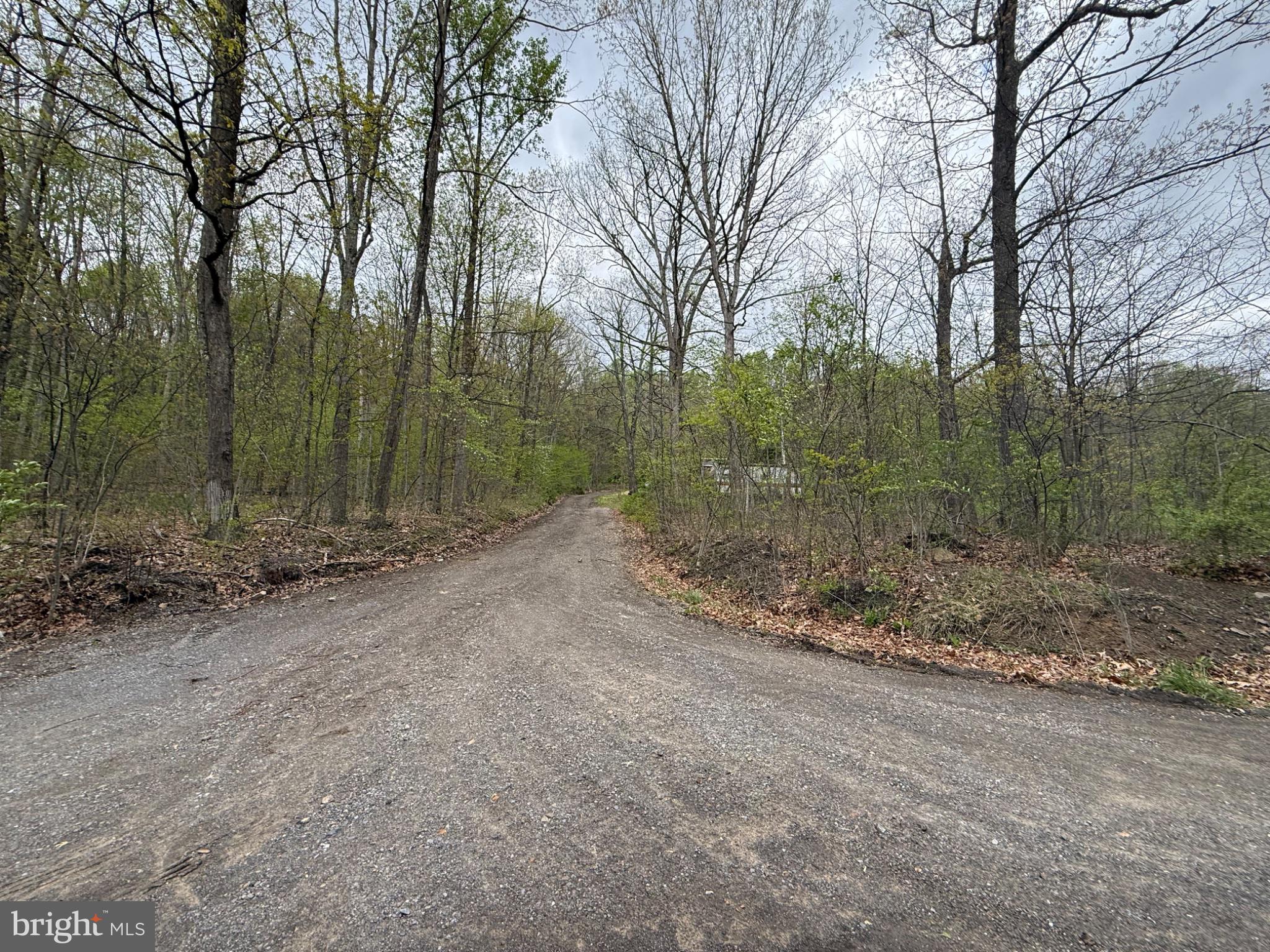 15232 Wrangletown Road Mount Union, PA 17066 - Photo 2 of 92 Serene woodland crossroads await.
