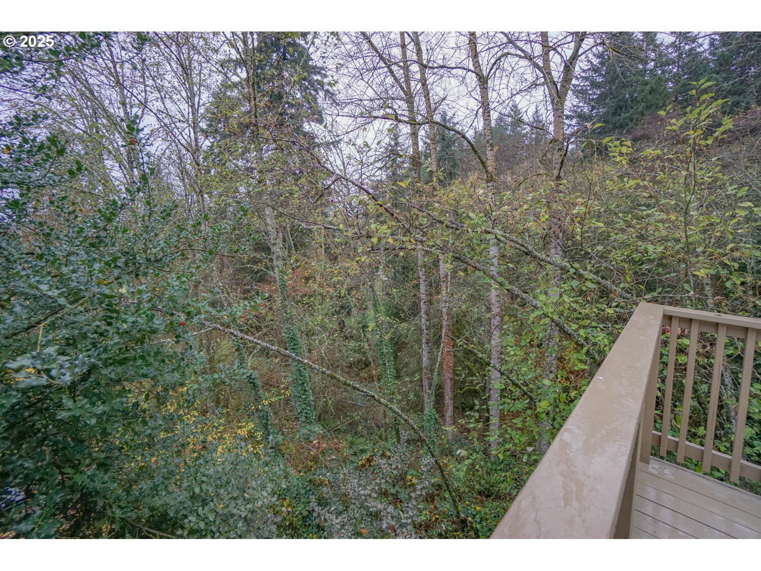 3704 Northwest Orchard Court Camas, WA 98607 - Photo 30 of 33 a view of balcony with wooden floor and fence