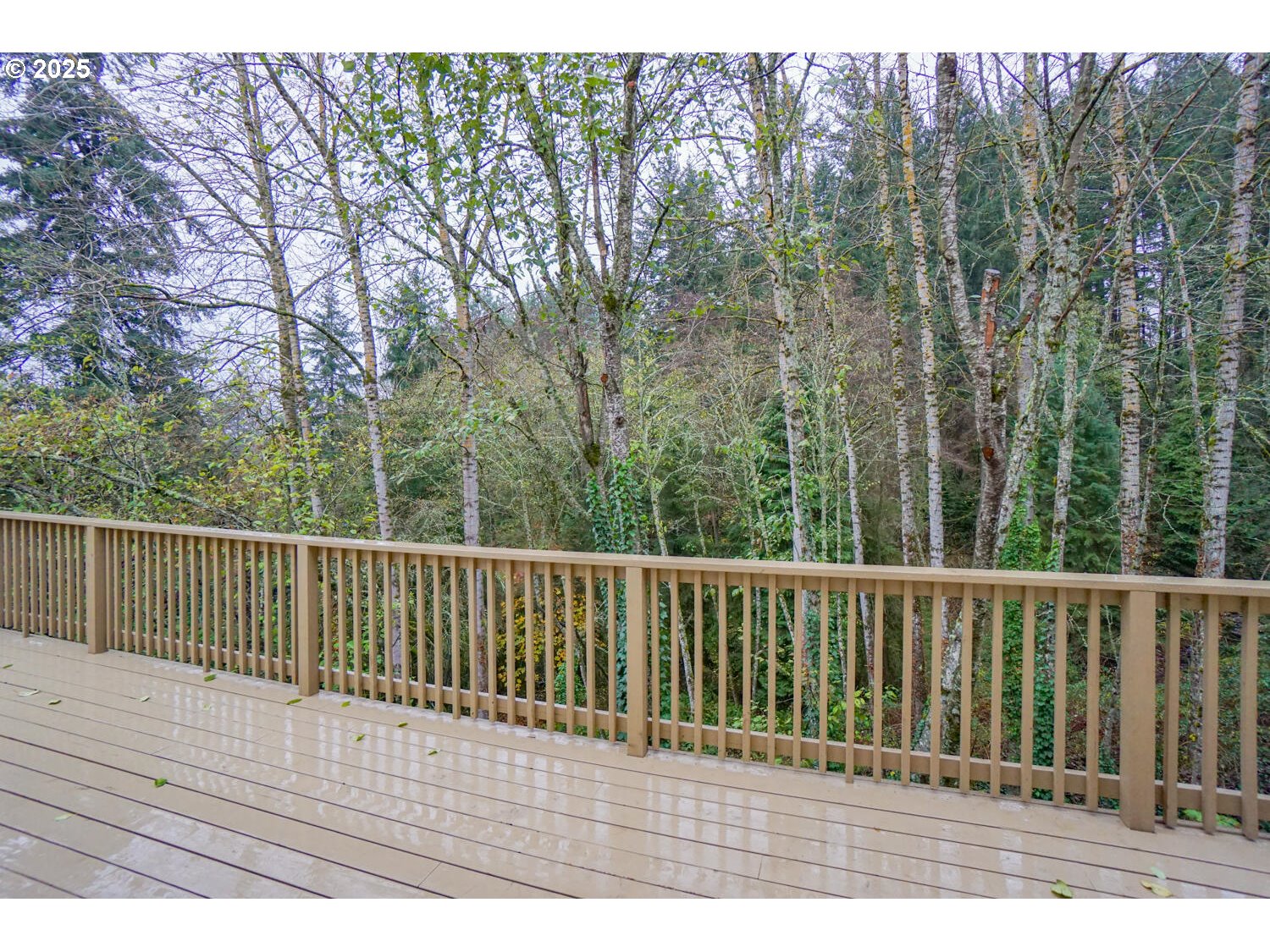3704 Northwest Orchard Court Camas, WA 98607 - Photo 10 of 33 a view of balcony with wooden floor