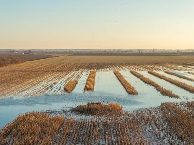 $2,235,000 | 316 Road Carrollton Mo 64633, Carrollton, MO 64633