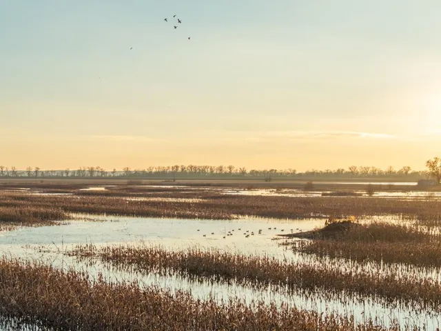 $2,235,000 | 316 Road Carrollton Mo 64633, Carrollton, MO 64633