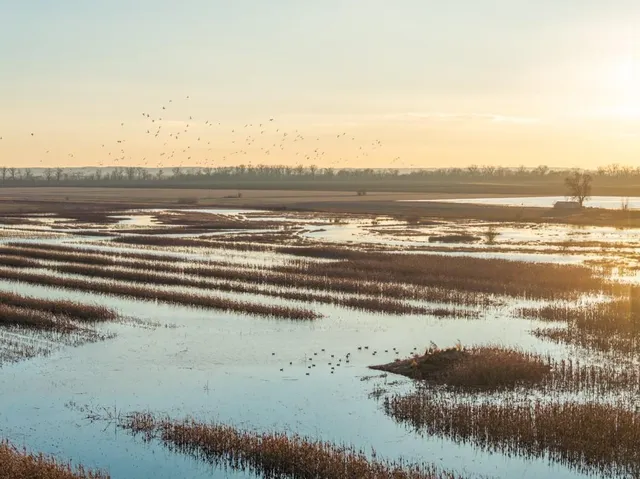 $2,235,000 | 316 Road Carrollton Mo 64633, Carrollton, MO 64633