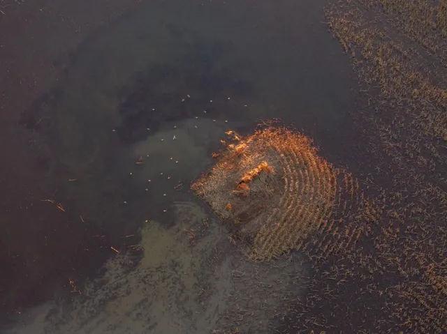 $2,235,000 | 316 Road Carrollton Mo 64633, Carrollton, MO 64633