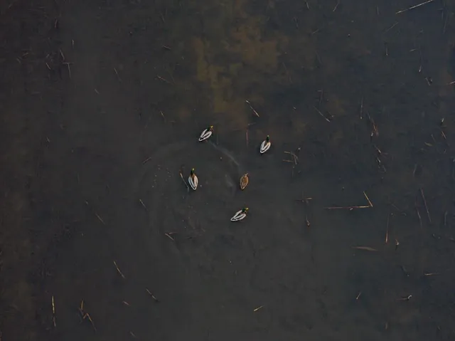 $2,235,000 | 316 Road Carrollton Mo 64633, Carrollton, MO 64633