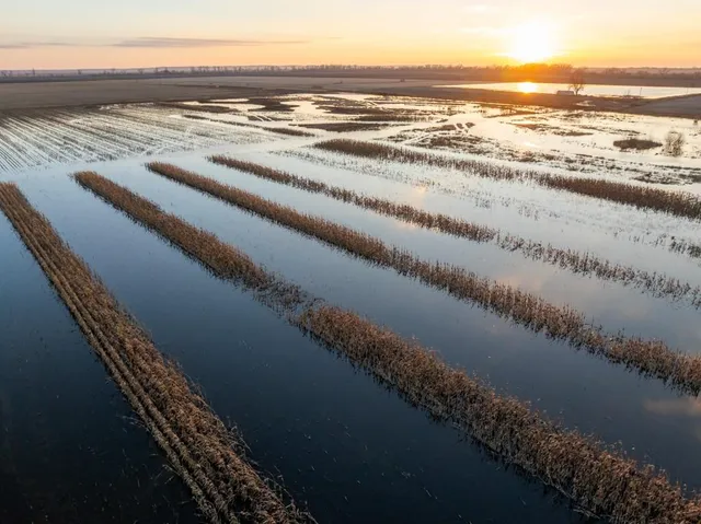 $2,235,000 | 316 Road Carrollton Mo 64633, Carrollton, MO 64633