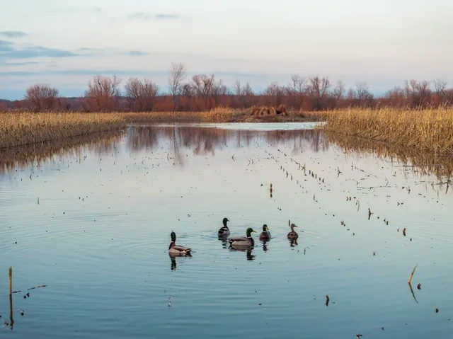 $2,235,000 | 316 Road Carrollton Mo 64633, Carrollton, MO 64633