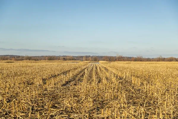 $1,995,000 | 316 Road Carrollton Mo 64633, Carrollton, MO 64633