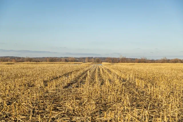 $2,235,000 | 316 Road Carrollton Mo 64633, Carrollton, MO 64633