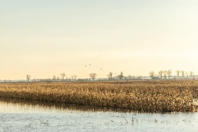 $2,235,000 | 316 Road Carrollton Mo 64633, Carrollton, MO 64633