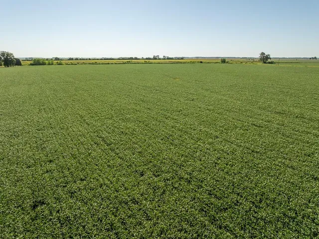 $2,235,000 | 316 Road Carrollton Mo 64633, Carrollton, MO 64633