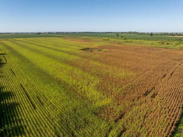 $1,995,000 | 316 Road Carrollton Mo 64633, Carrollton, MO 64633