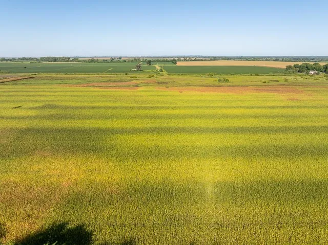 $2,235,000 | 316 Road Carrollton Mo 64633, Carrollton, MO 64633