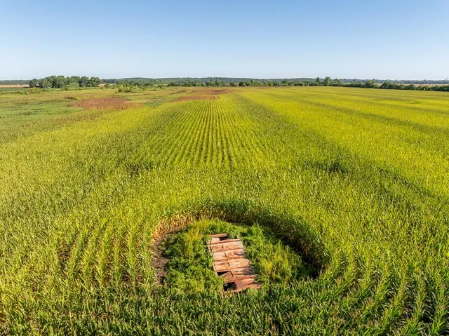 $2,235,000 | 316 Road Carrollton Mo 64633, Carrollton, MO 64633