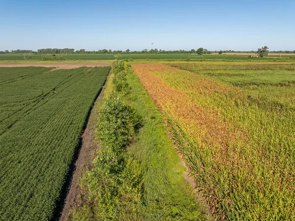 $1,995,000 | 316 Road Carrollton Mo 64633, Carrollton, MO 64633