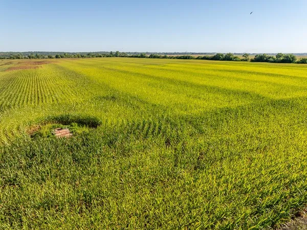 $1,995,000 | 316 Road Carrollton Mo 64633, Carrollton, MO 64633