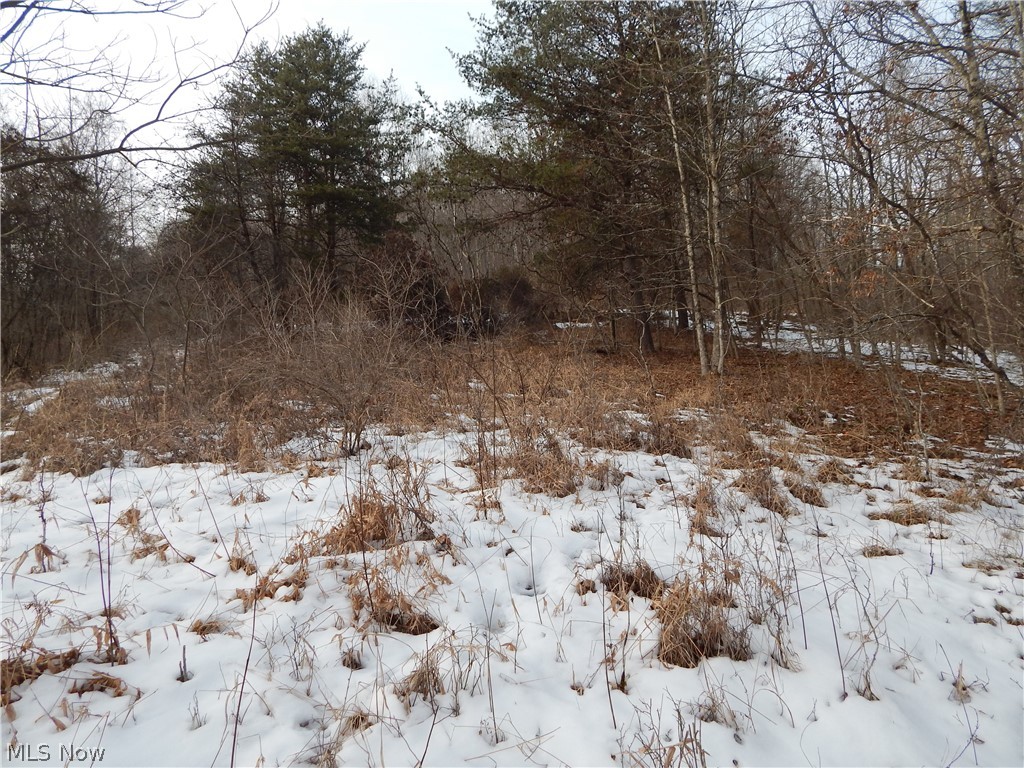 Fingerboard Road Big Springs, WV 26137 - Photo 9 of 21