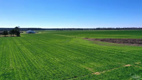 $165,000 | Lot 3 Mccullough Road, Atmore, AL 36502