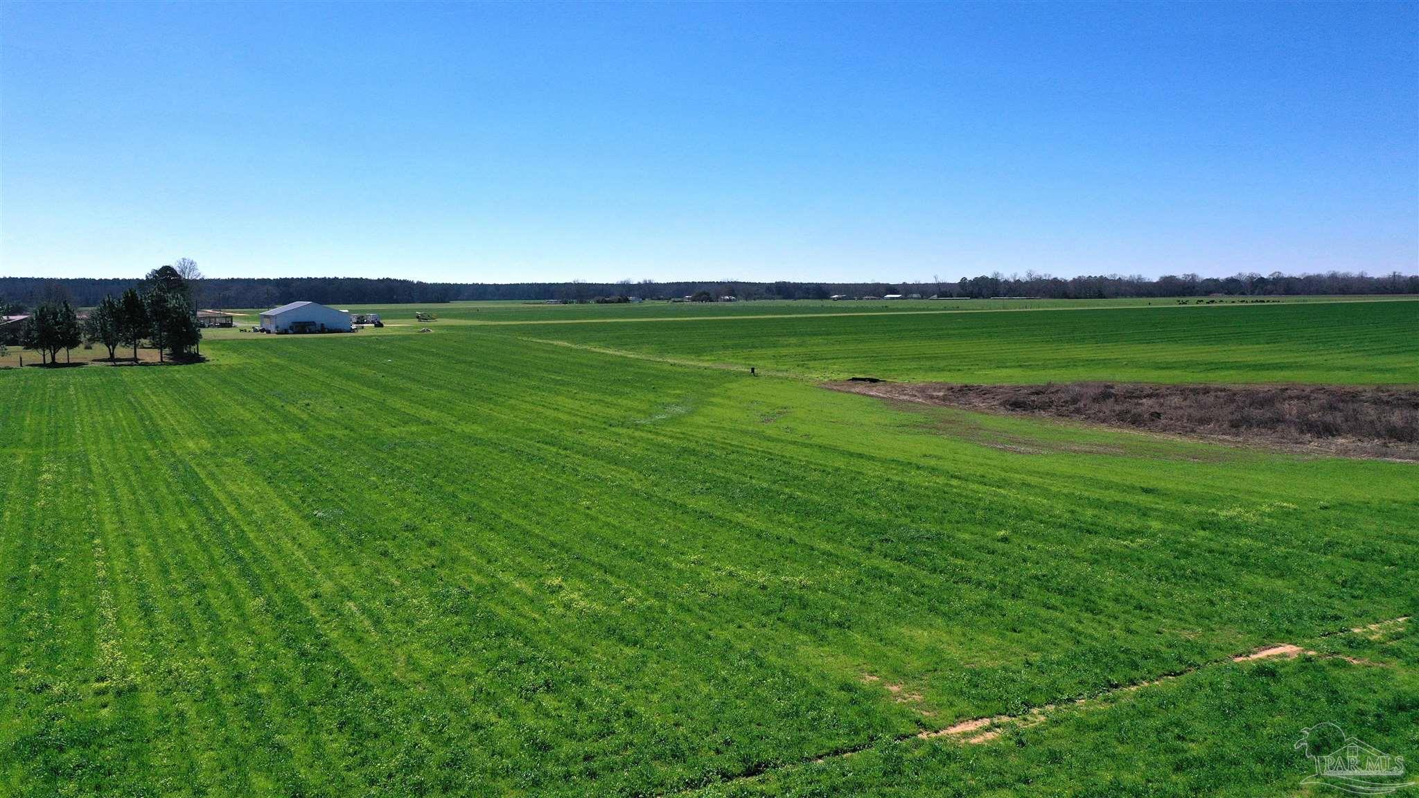 Lot 3 Mccullough Road Atmore, AL 36502 - Photo 29 of 30