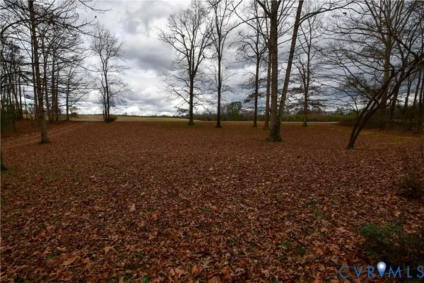 a view of dirt yard with a large tree