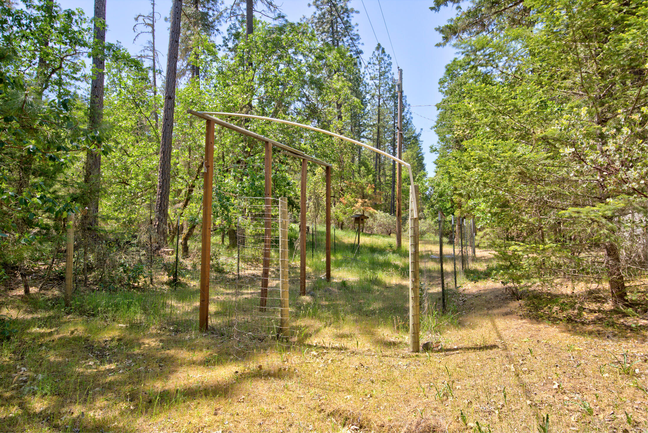 2396 Galice Road Merlin, OR 97532 - Photo 10 of 28 2396 Galice018