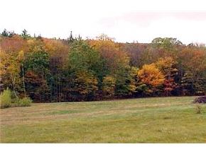 167 Groton Road Hebron, NH 03241 - Photo 4 of 9