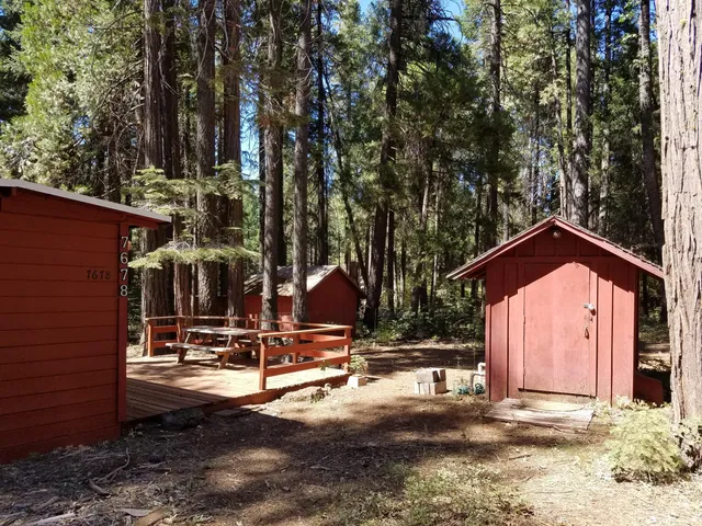 a view of a house with backyard and trees