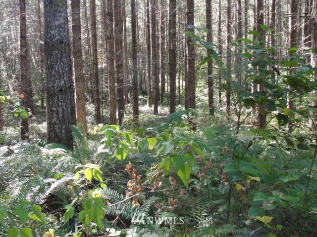 -xxx Vail Loop Road Southeast Rainier, WA 98576 - Photo 1 of 6