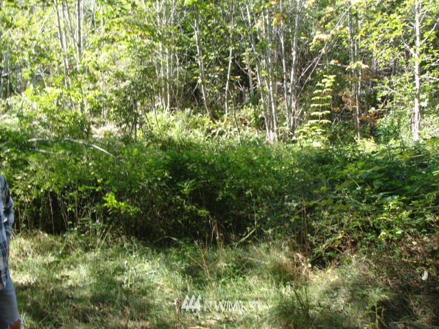 -xxx Vail Loop Road Southeast Rainier, WA 98576 - Photo 5 of 6