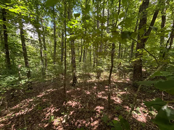 $24,500 | 0 Sussex Road, Dayton, TN 37321