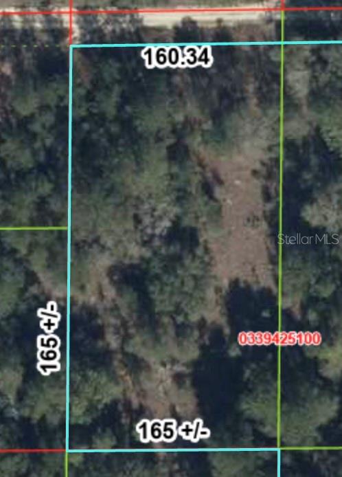 0 Northeast 83rd Lane Bronson, FL 32621 - Photo 3 of 3