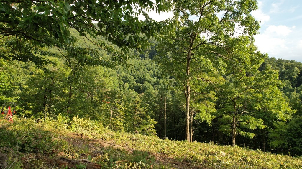 0 Trapper John Way Sevierville, TN 37862 - Photo 8 of 18